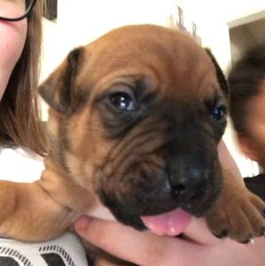 Meet your Posher, Nicole